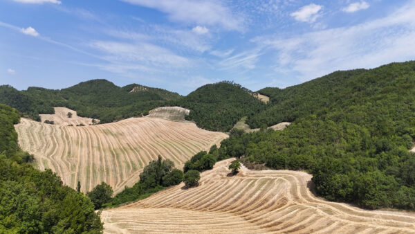 Azienda agricola biologica nel cuore delle Marche