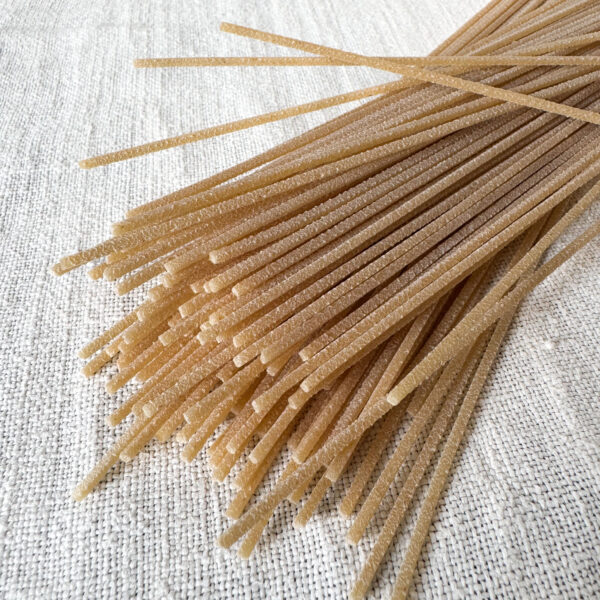 SPAGHETTI quadrati